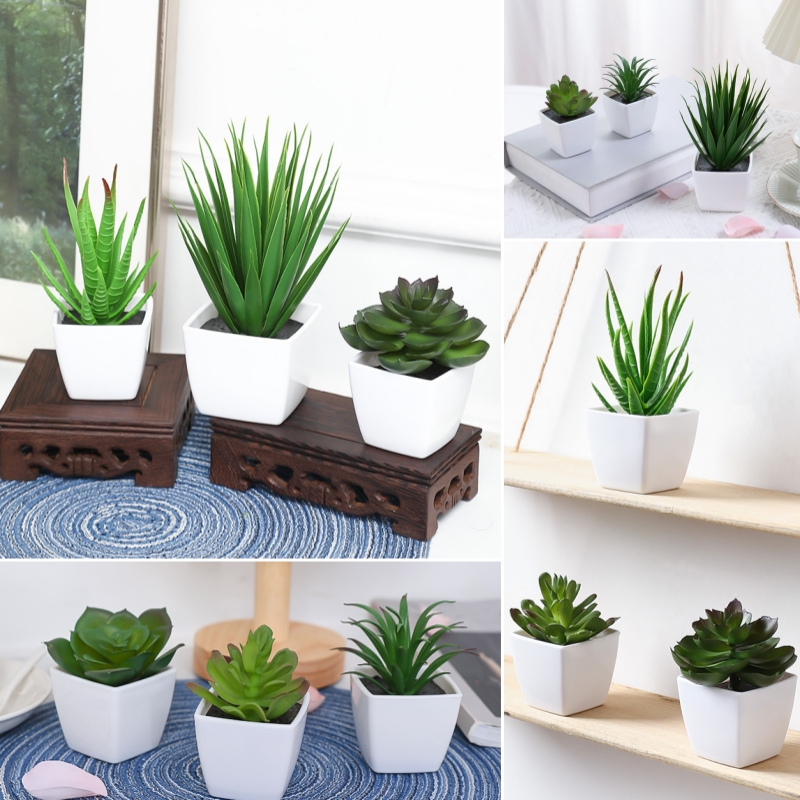 Succulent Set - (3 個セット) 家、レストラン、テーブルトップ、窓辺、本棚の装飾に適した模擬ミニ鉢植え