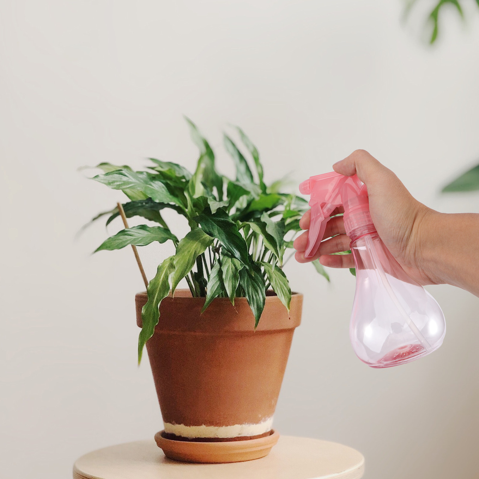 ミニ多肉植物植え付けツールキット1セット、ガーデン植え付けツ - Succulent Set のレビューと価格