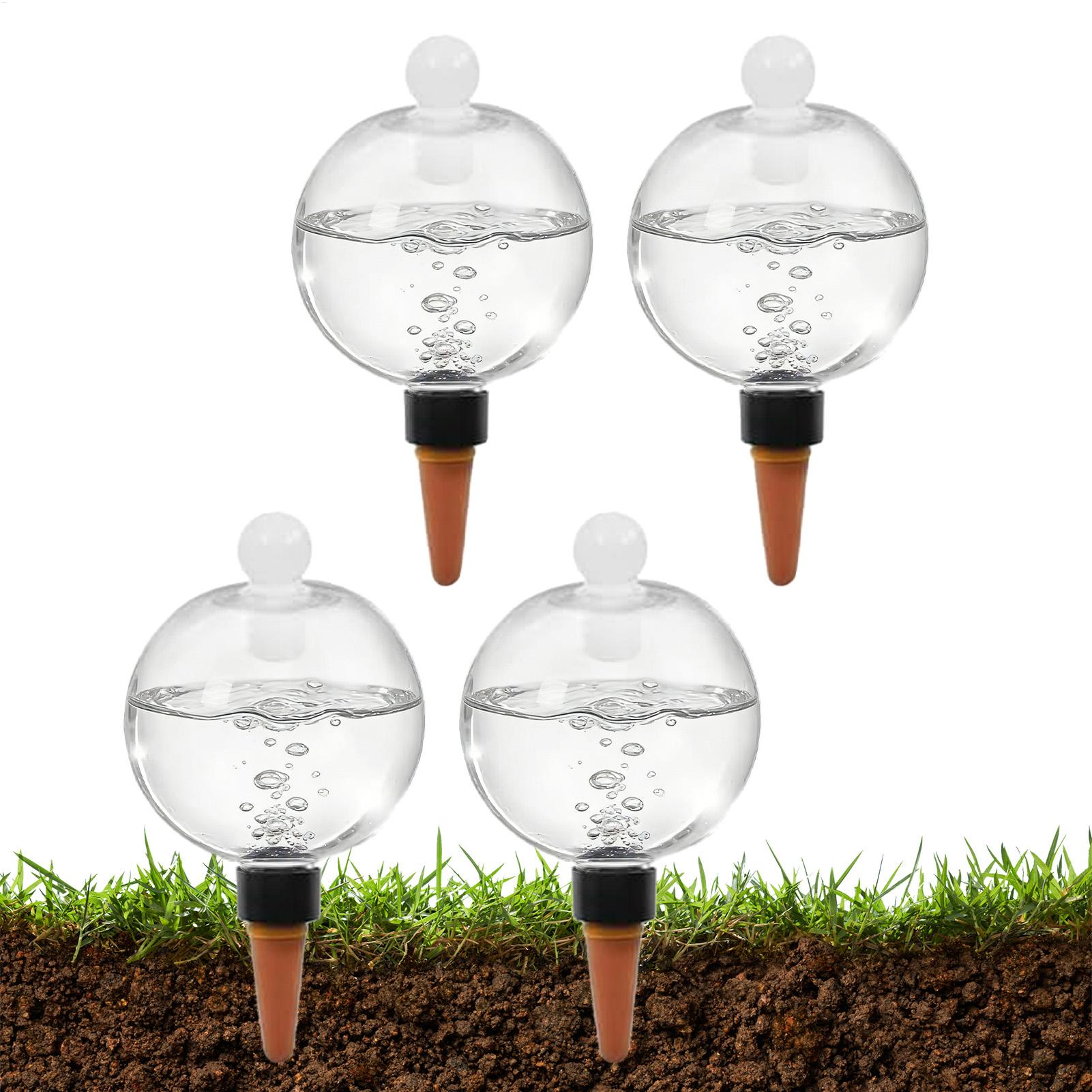 植物散水用ボール 4個入り 500ml 透明自動給水グローブ - Succulent Set のレビューと価格