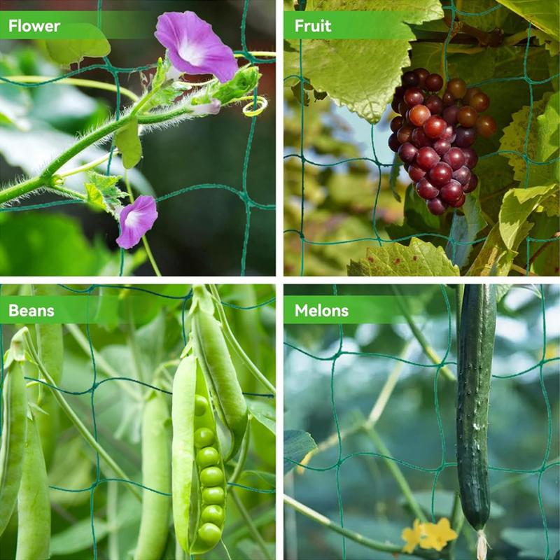 つる性植物用トレリスネット 丈夫な植物トレリスネット 丈夫な - Plant Support Stake のレビューと価格
