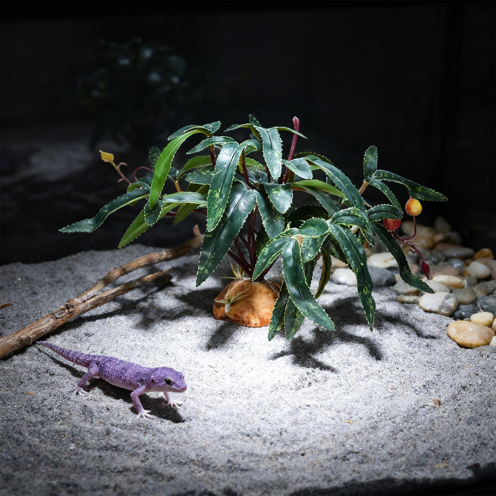 偽の爬虫類植物、蛇の飼育場の装飾品、リアルな水槽の装飾、ヤモ - Snake Plant のレビューと価格