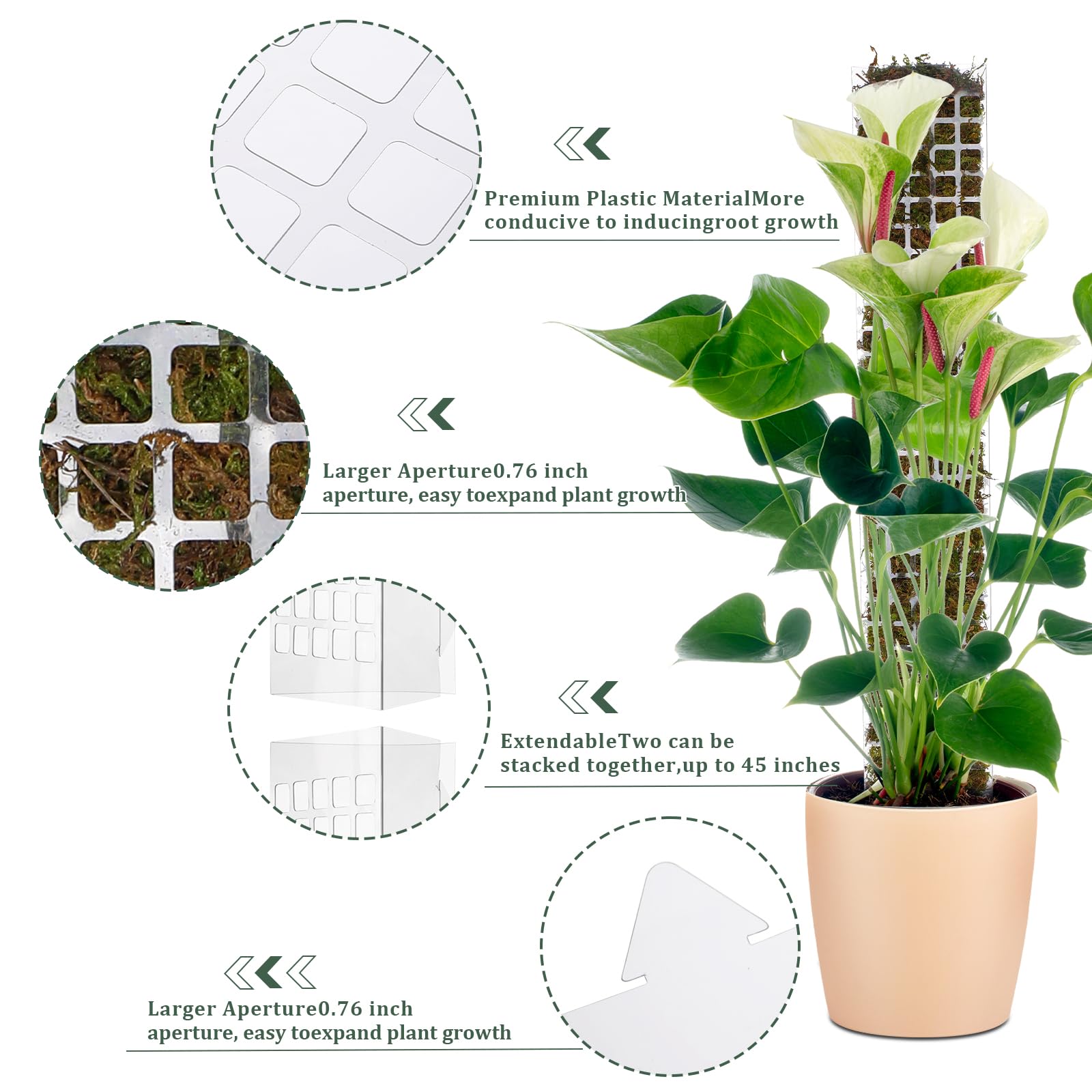 モンステラやポトス、フィロデンドロンなどの観葉植物を支えるた - Plant Support Stake のレビューと価格