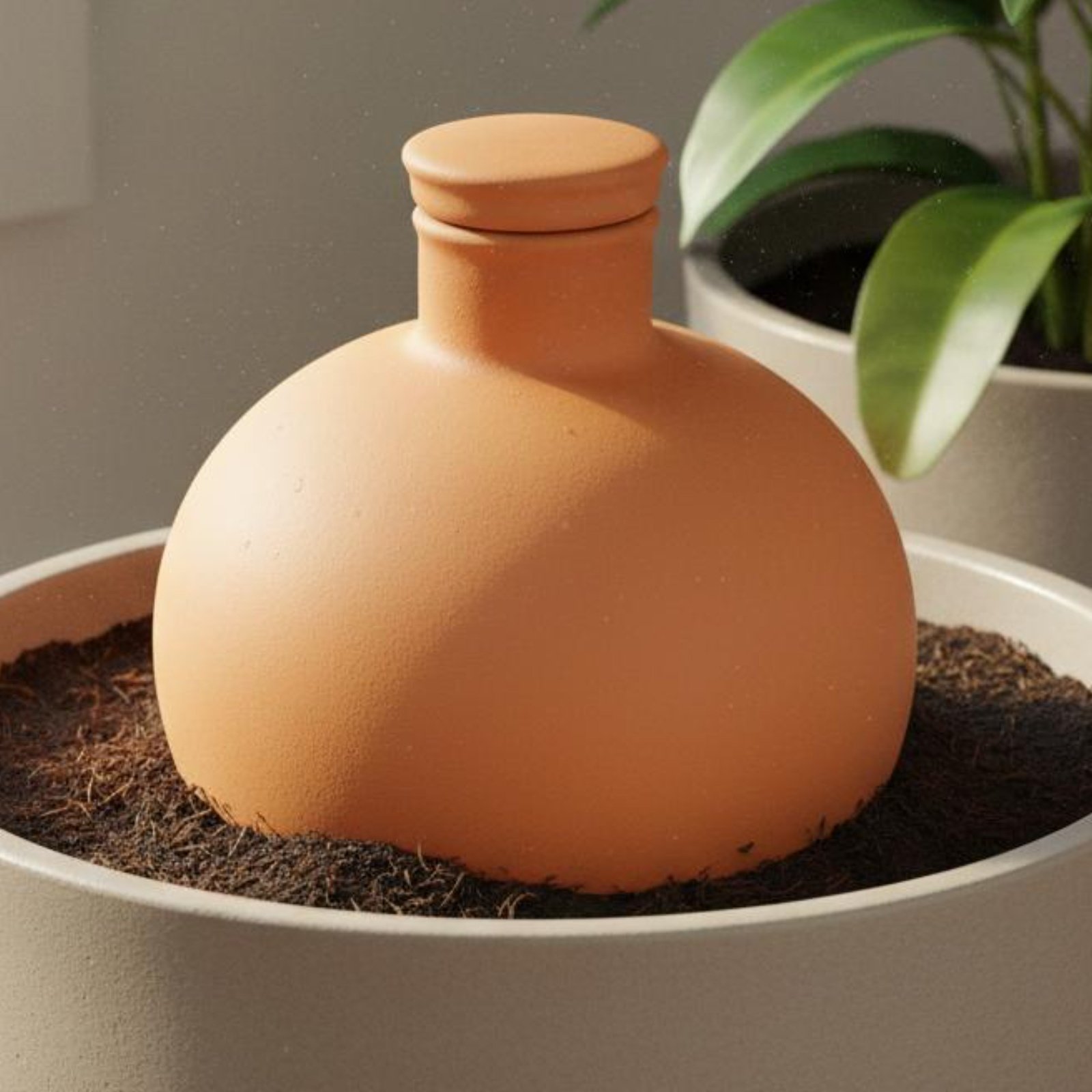 2個入りテラコッタオラ、簡単植物ケアオラ、水やりポット、多孔 - Terracotta Pot のレビューと価格