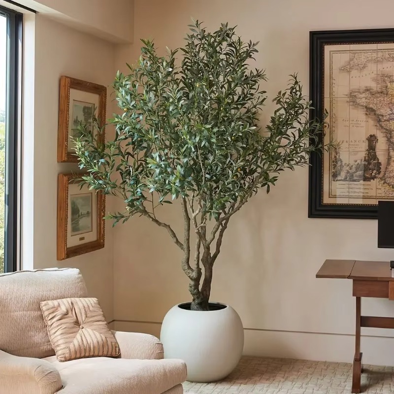 カスタマイズ可能な90cm、120cm、150cm、180c - Indoor Plants のレビューと価格