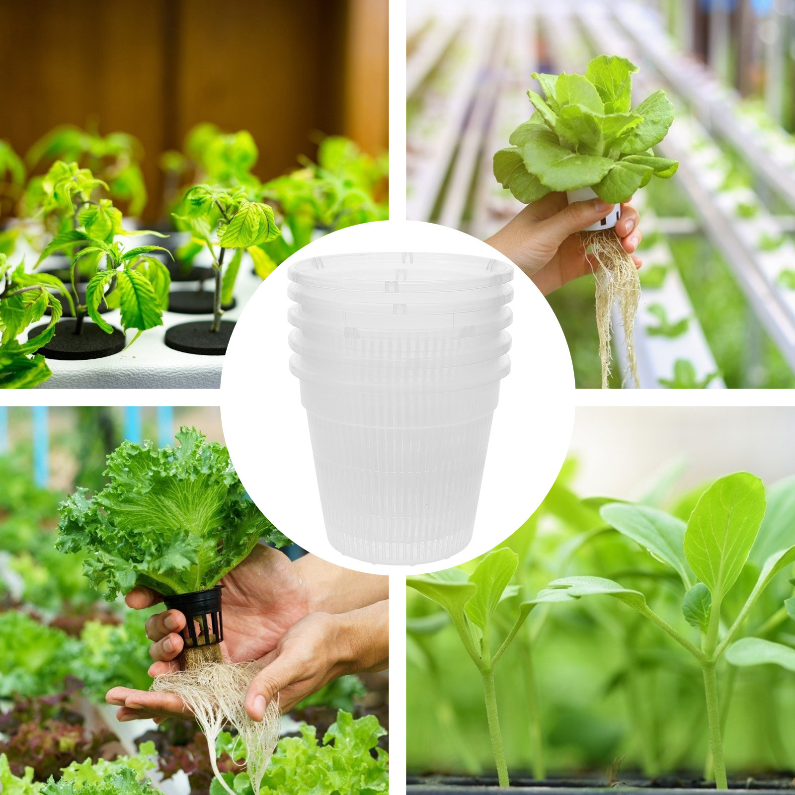 5個入り、水耕栽培用ネットポット、プラスチック製バスケット、 - Indoor Plants のレビューと価格
