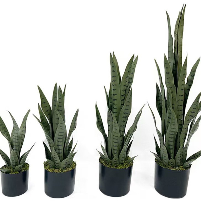 40-100cmの人工サンセヴィエリア（スネークプラント）黒 - Snake Plant のレビューと価格