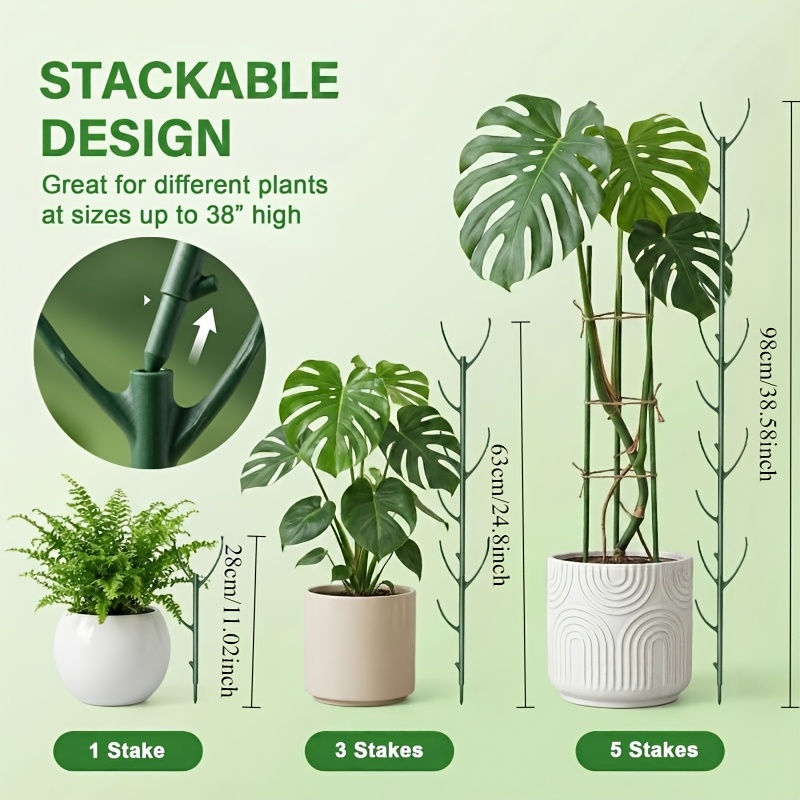 モンステラ植物サポートステーク 5本のサポートフレームと1巻 - Plant Support Stake のレビューと価格