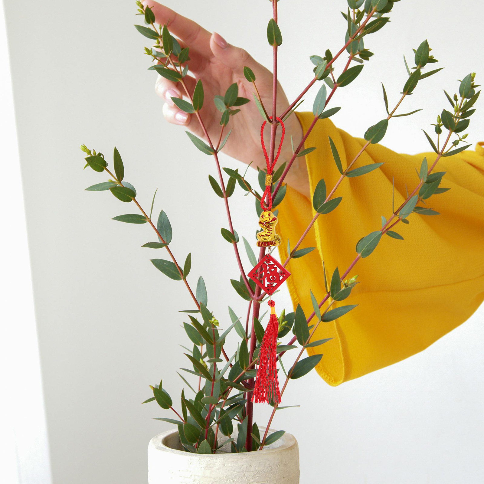 木製の蛇の年ペンダント5点セット。2025年の旧正月飾りとし - Snake Plant のレビューと価格