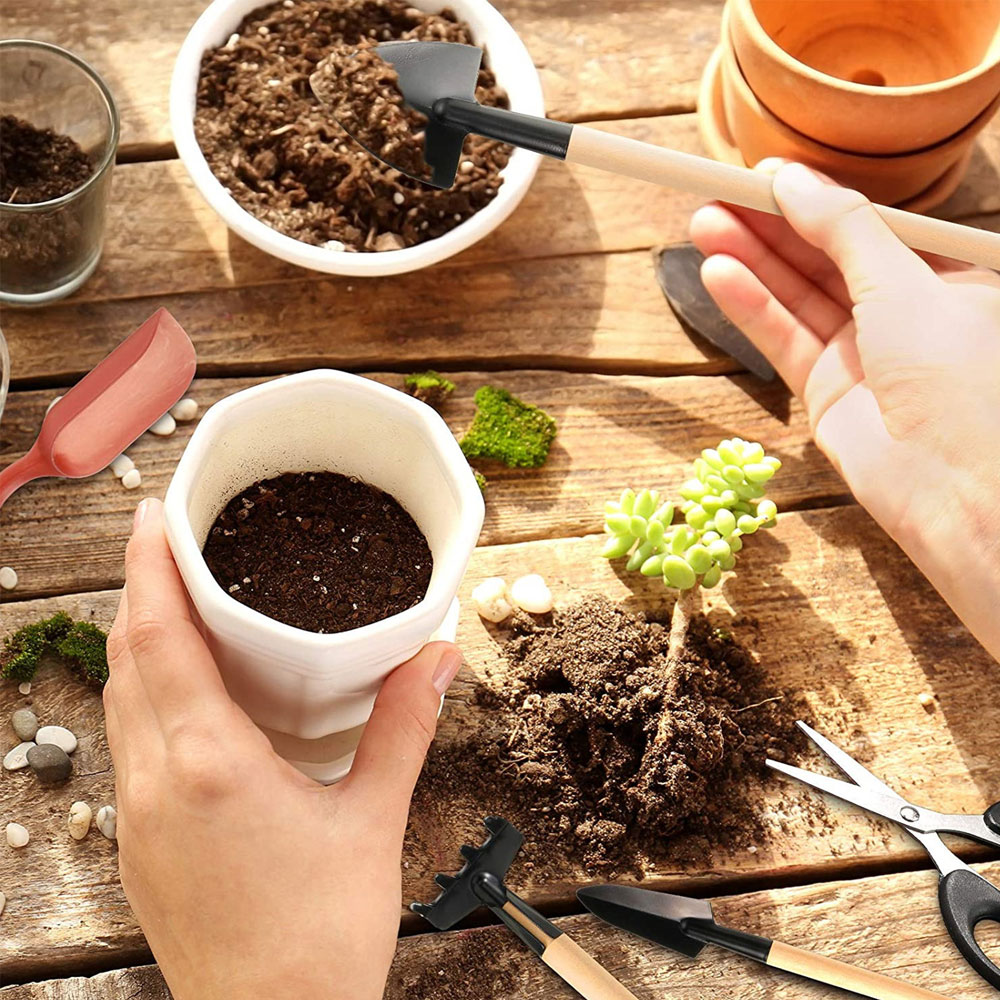 多肉植物ツールミニガーデンハンドツール金型屋外盆栽ガーデニン - Succulent Set のレビューと価格