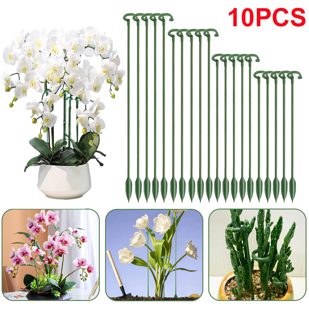 5/10個入り 植物支柱 鉢植えの花固定ホルダー 蘭 多肉植 - Succulent Set のレビューと価格