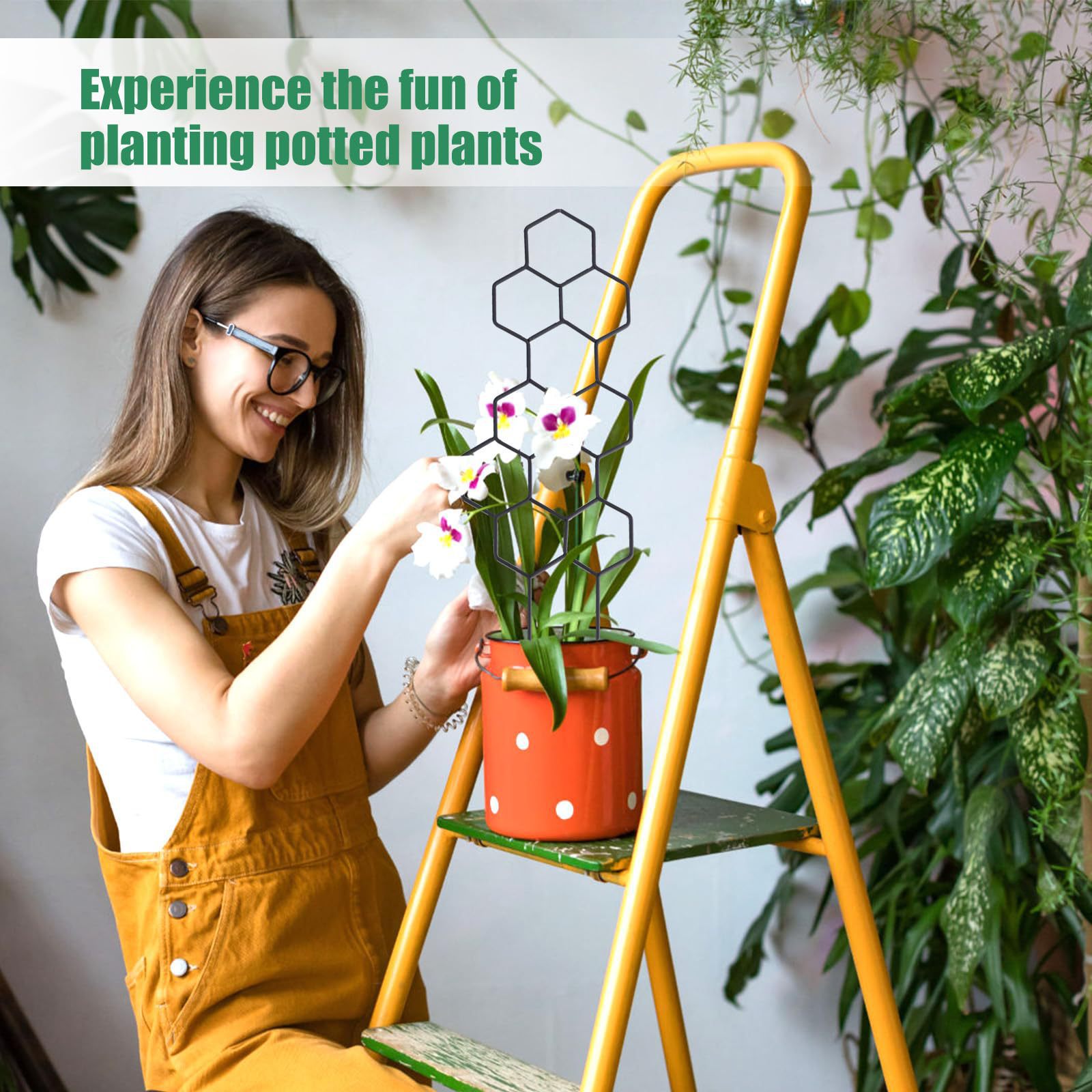 1PC ハニカムデザイン植物トレリス、鉢植えのつるや花用の防 - Terracotta Pot のレビューと価格