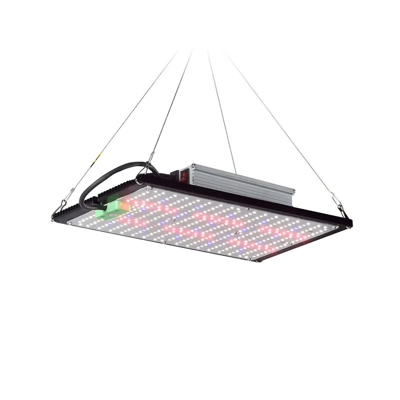 LED量子ボード育成ライト フルスペクトラム 吊り下げ式植物 - Indoor Plants のレビューと価格