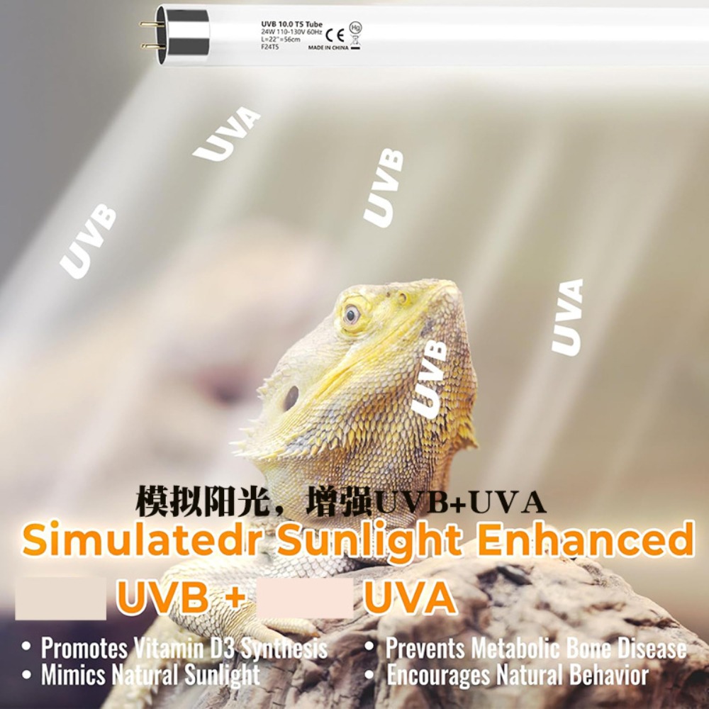 水草と爬虫類用テラリウムLED照明 24W UVA UVBラ - Snake Plant のレビューと価格